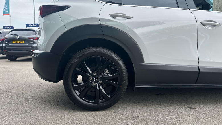 Mazda CX-30 2.5 e-Skyactiv G MHEV [140] Homura 5dr Petrol Hatchback